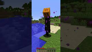 Friendly Enderman vs Pumpkin Feature shorts minecraft meme [upl. by Asirrak]