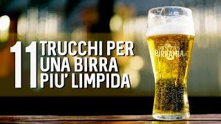 11 Trucchi per una birra più limpida  Birramia 🍺 [upl. by Oletta]