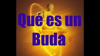 ¿Qué es un Buda  Ciencia del Saber [upl. by Annailuj608]