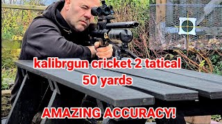 AMAZING ACCURACY FROM THIS AIR RIFLE WOW   kalibrgun cricket airgunhunting [upl. by Esinet]