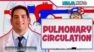 Circulatory System  Pulmonary Circulation [upl. by Erlina165]