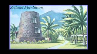 Zetland Plantation [upl. by Annaitat284]