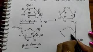 Disachharides Sucrose Maltose and Lactose Chemistry [upl. by Eda]