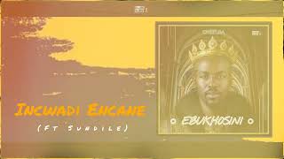 Chiefsa  Incwadi Encane ft Sundile Ebukhosini Album Visualizer [upl. by Ahsinom116]