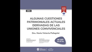 ALGUNAS CUESTIONES PATRIMONIALES DERIVADAS DE LAS UNIONES CONVIVENCIALES [upl. by Brottman498]