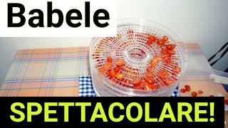 Essiccatore elettrico BABELE Faccio i POMODORI SECCHI [upl. by Toy]