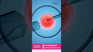 Blocked Fallopian Tubes in Women Treatment Options  Vardaan IVF Clinic  Dr Vareesh [upl. by Ettezzil169]