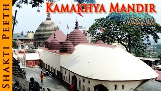 Shakti Peeth  Kamakhya Mandir  Assam  Indian Temple Tours [upl. by Marleah]