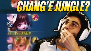 Trolling my Team with Change Jungle  Mobile Legends [upl. by Collum]