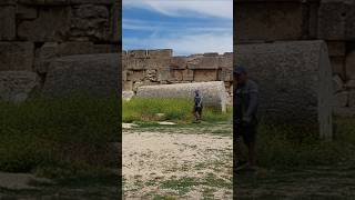 Упавшая колонна в Баальбеке встану рядом с гигантским baalbek [upl. by Lahey]