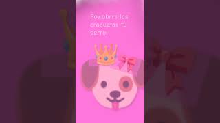 Tu perro dale papi dame croque tita🐶🙏🎀👑 [upl. by Odnomyar5]