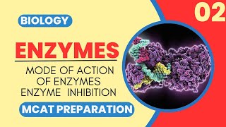 Mcat Biology Class 2  MODE OF ACTION OF ENZYMES AND ENZYMES INHIBITION [upl. by Pepi10]