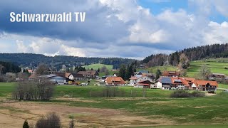 🚨 Gefährliche Metallstangen in HerrischriedGiersbach amp andere Nachrichten  Livestream 20042023 [upl. by Mabelle]