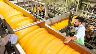 Cheese production process and interesting facts about it  LV Satisfying [upl. by Nnov]