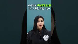 Which Phylum Do I Belong To  🤔 neet2025 biology physicswallah [upl. by Yehtomit]