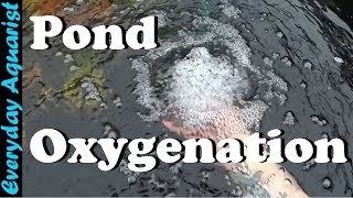 How To Aerate amp Oxygenate Your Pond [upl. by Knight]