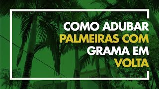 Como adubar palmeiras com grama em volta [upl. by Hogg999]