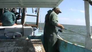 COMMERCIAL FISHING FOR SHEEPSHEAD WITH CANE POLES AND ROD AND REEL [upl. by Inalan]