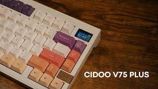 CIDOO V75 Plus  Build Guide amp Sound Test [upl. by Iridis462]