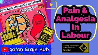 Pain and Analgesia in Labour [upl. by Witty]