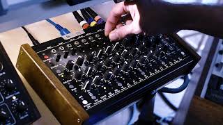 MFB Tanzbär drum machine live set  MINIMAL TECHNO live performance [upl. by Amadis]