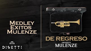 Orquesta Mulenze  Medley De Éxitos  Salsa Romántica [upl. by Aned17]