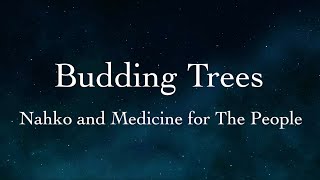 Budding Trees Lyric Video By Nahko and Medicine for the People [upl. by Maller430]