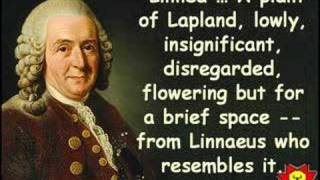 Creative Quotations from Carl Linnaeus for May 23 [upl. by Bronwen]