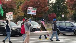 Palestine Solidarity at Mt Hope and Elmwood [upl. by Ahsot911]