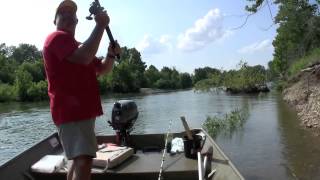 Catching Channel Cats so fastITS CRAZY [upl. by Farand]