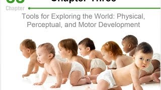 Developmental Psychology  Physical Perceptual and Motor Development  CH3 [upl. by Ainer]