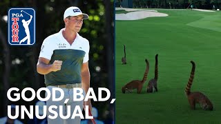 Hovland’s nasty chipping Mayakoba monkey business amp Huh’s questionable ace [upl. by Nicholle]