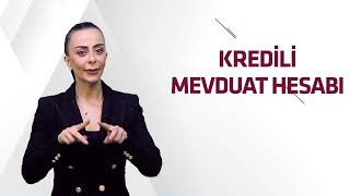 Kredili Mevduat Hesabı Nedir  Alternatif Bank [upl. by Given82]