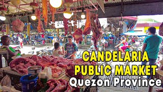 Exploring the Best Local Finds at CANDELARIA PUBLIC MARKET  Quezon Province [upl. by Negaem]