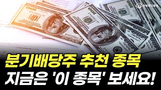 분기배당주 추천 종목 배당금 많은 주식 투자 방법 2024 국내 고배당주 순위 [upl. by Moazami]