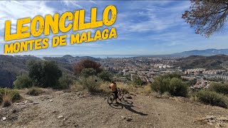 🚵‍♀️⛰ Leoncillo 🦁🔺  Montes de Málaga  Enduro MTB  FOCUS SAM2 [upl. by Amer]