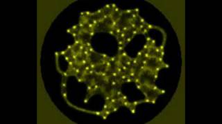 Physarum  multiplication behaviour for resource allocation [upl. by Bruyn]