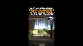 Suspect attacks LAPD K9 with ladder during standoff [upl. by Leumhs892]