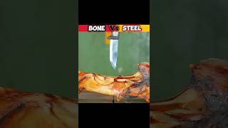 Hardest Bone Vs Hardest Steel  How Strong is Knife💥 [upl. by Eyot]