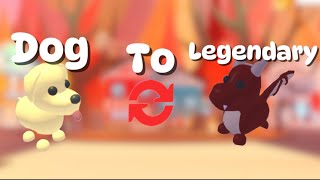 Dog to Legendary Trading Challenge in Adopt Me [upl. by Carder]