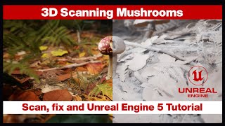 How to scan Mushrooms Photogrammetry scan Reality Capture UE5 [upl. by Einahpet873]