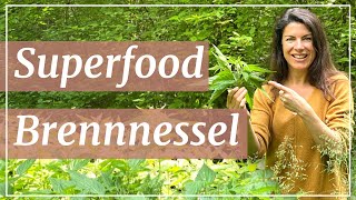 Superfood Brennnessel Darum ist sie besser als Spinat  SOMA Institut [upl. by Ebbarta179]