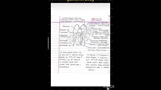 chapter 7 structural organisation in animal  toppers notes [upl. by Nared]