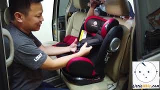 How to Install Koopers Lambada Using Seat Belt  Forward Facing  LittleWhizcom [upl. by Ehman]