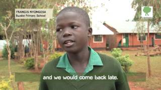 Result film from Vi Agroforestry Environmental club at Bwake Primary School Kenya Kitale [upl. by Johnathan915]