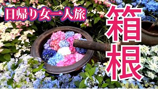 【箱根日帰り女一人旅2022】紫陽花開花情報！箱根フリーパスで行く日帰り女一人旅 [upl. by Adamsen]