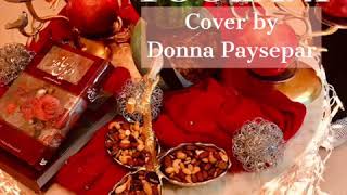 Shabe Toolani Cover By Donna Paysepar [upl. by Murial146]