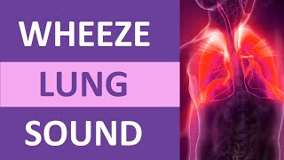 Wheezing Lung Sound Audio High Pitch  Nursing Adventitious Lung Sounds NCLEX Review [upl. by Essa]