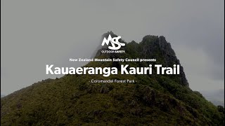 Kauaeranga Kauri Trail  Tramping Hiking Video Series  New Zealand [upl. by Bayly]