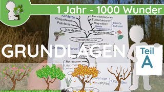 📚 1 Jahr  1000 Wunder  Grundlagen Teil A GeschichteEntwicklung  BotanikGrundlagenWissen [upl. by Nyrrek]